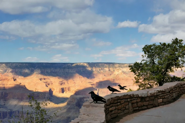 峡谷回响：天地与心的私语