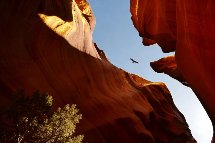 峡谷回响：天地与心的私语