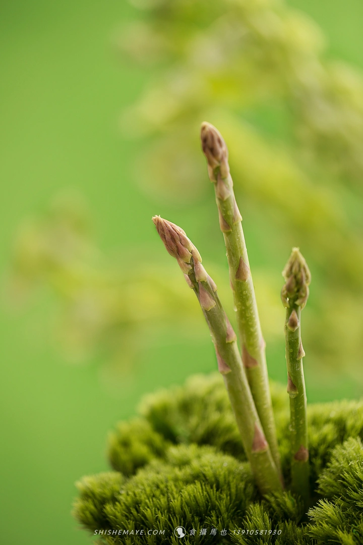 食摄学院十二月造梦计划，你准备好了吗？