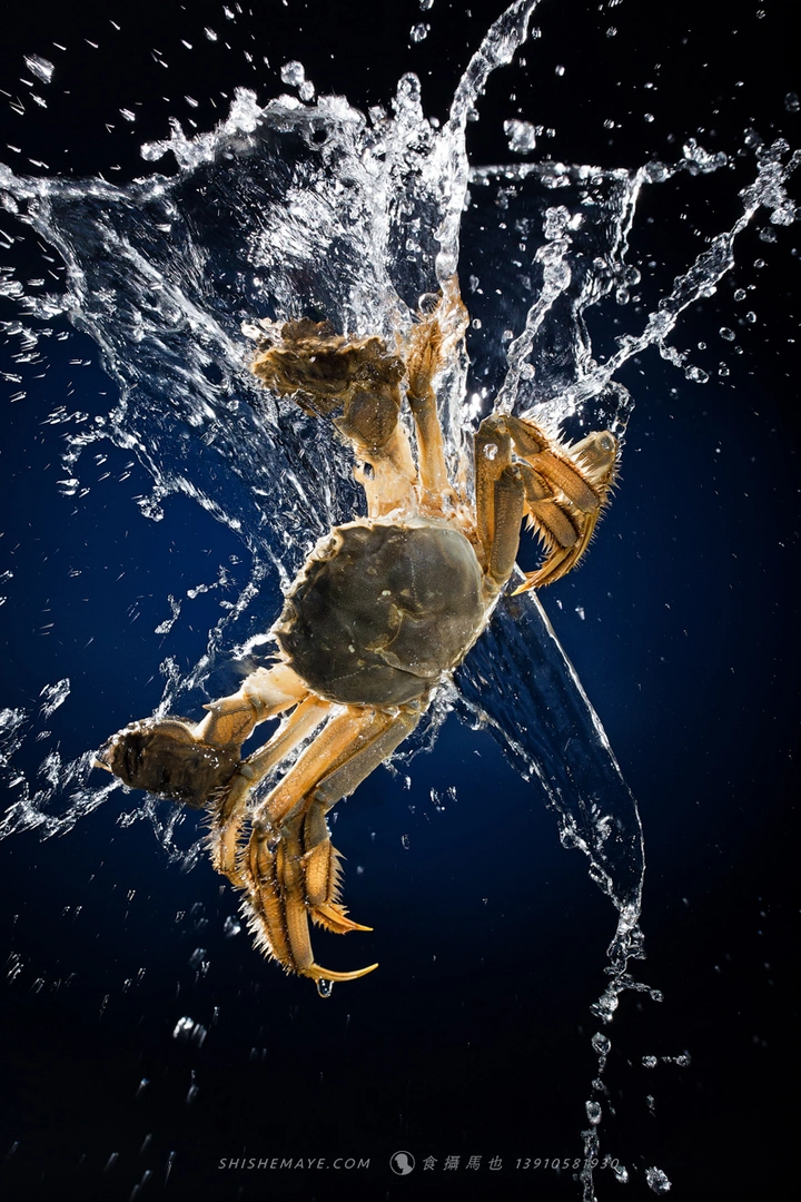 食摄学院十二月造梦计划，你准备好了吗？