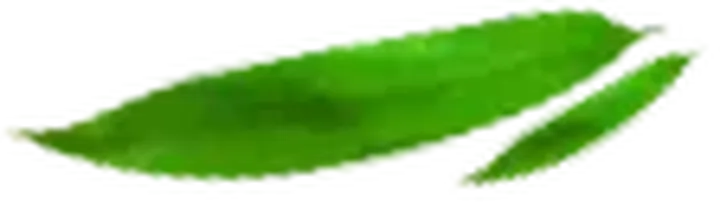 粽子节就要到了，你想怎么拍？