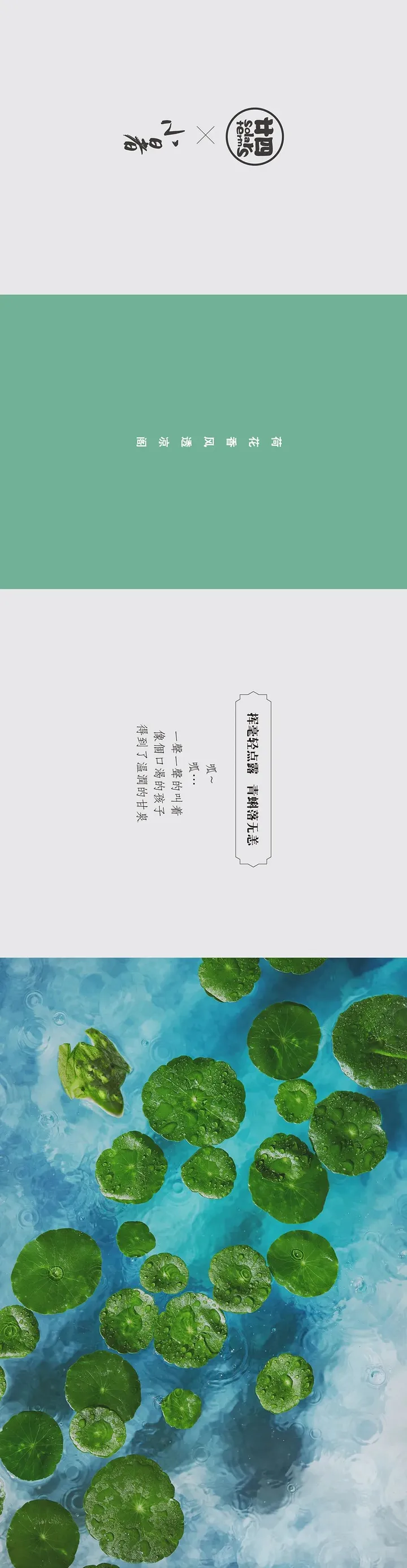 食摄马也·CHINA驰系列 | 廿四节气-小暑