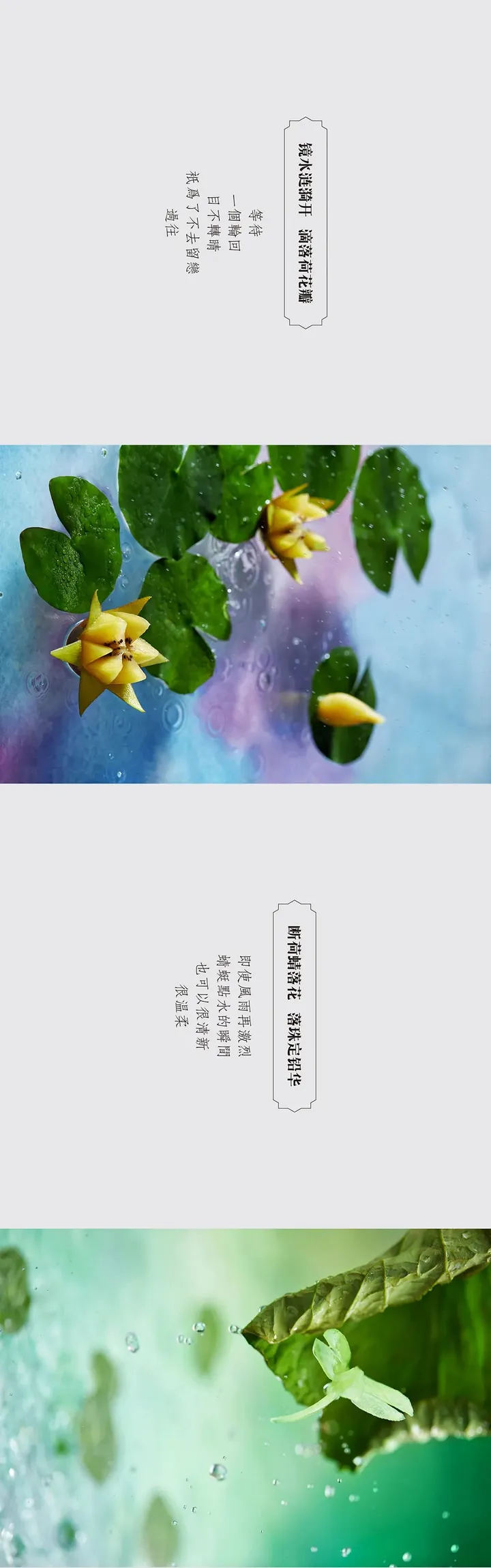 食摄马也·CHINA驰系列 | 廿四节气-小暑