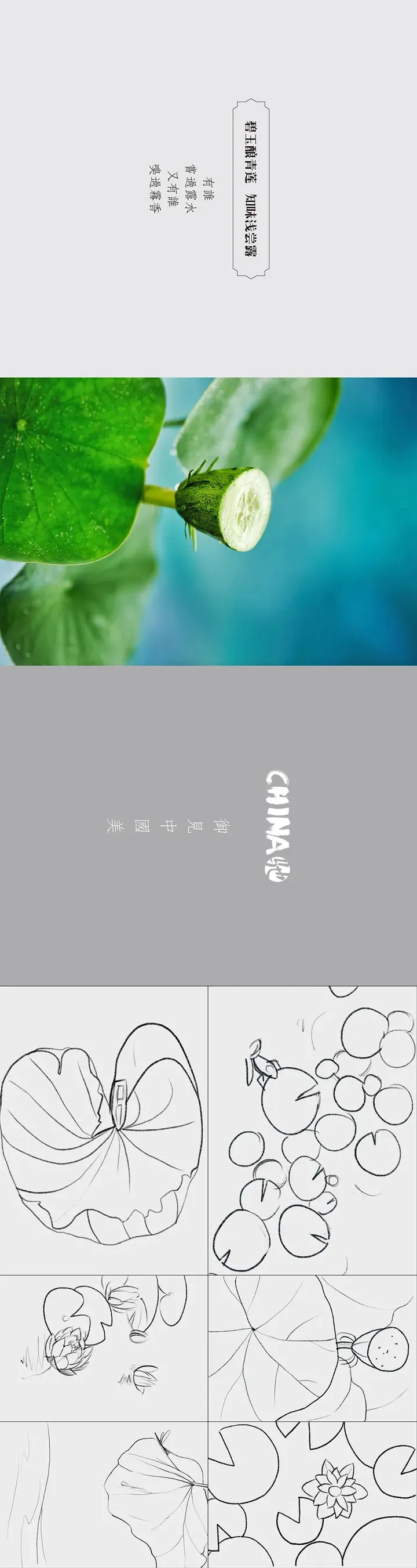 食摄马也·CHINA驰系列 | 廿四节气-小暑