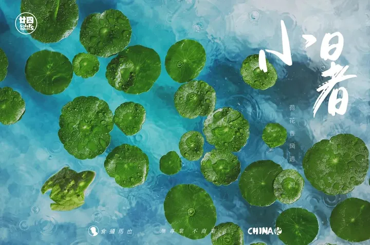 食摄马也·CHINA驰系列 | 廿四节气-小暑