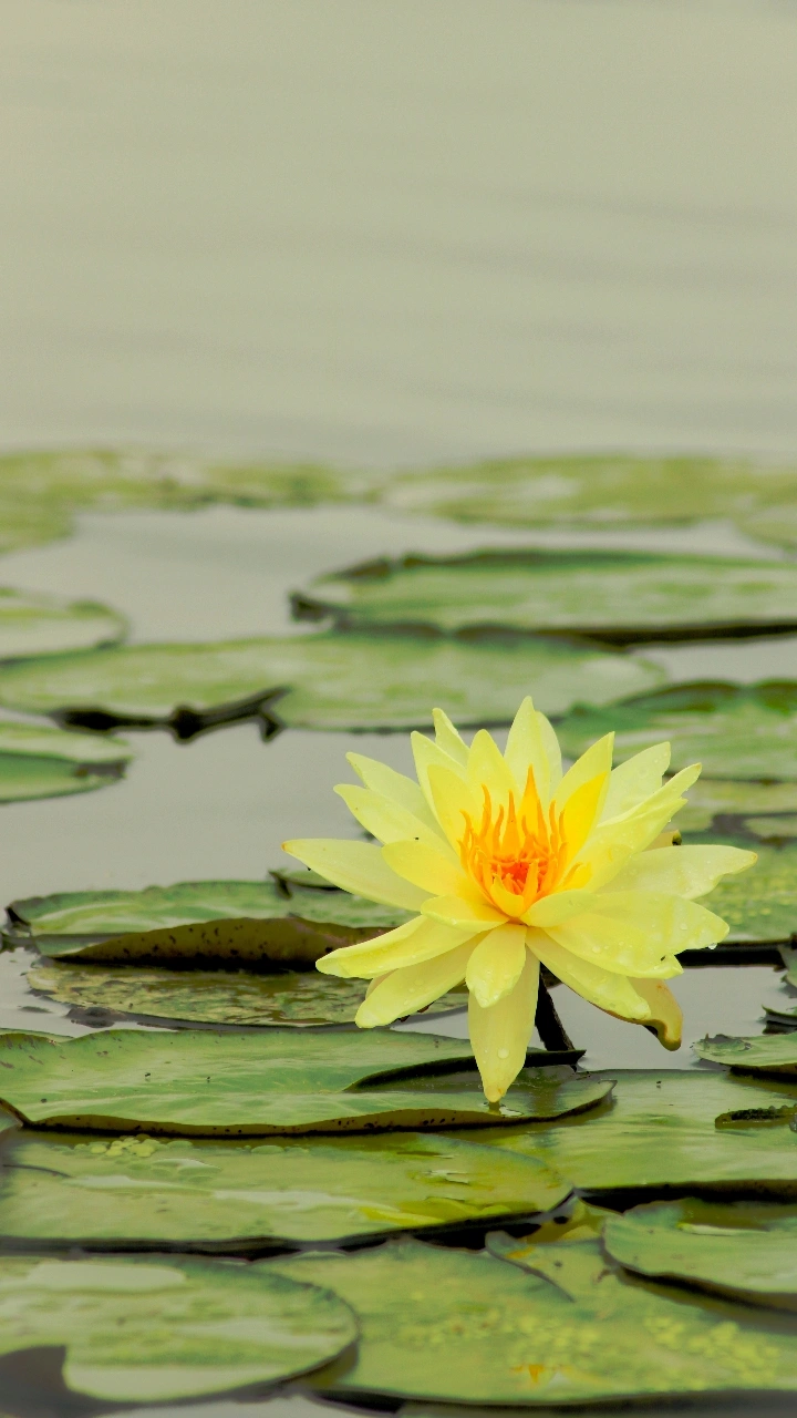 曹施烨的影摄笔记【1】