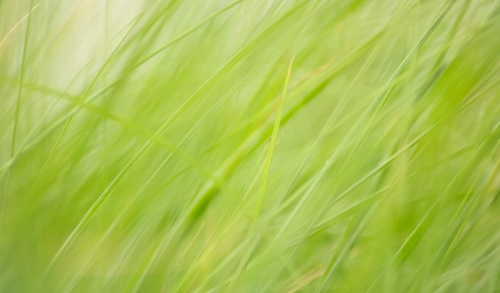 曹施烨的影摄笔记【1】