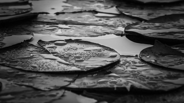 曹施烨的影摄笔记【1】