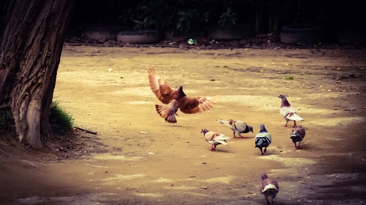 曹施烨的影摄笔记【2】