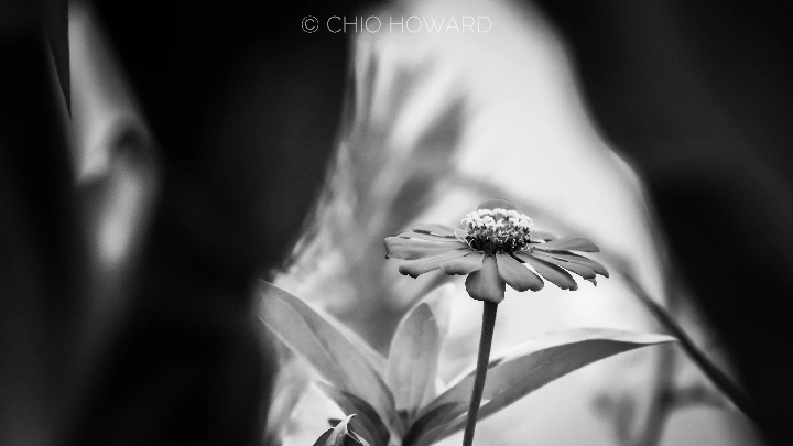 曹施烨的影摄笔记【2】