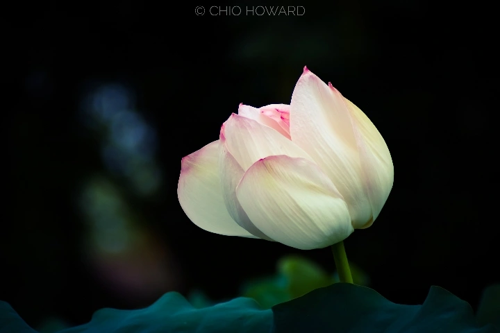 曹施烨的影摄笔记【2】