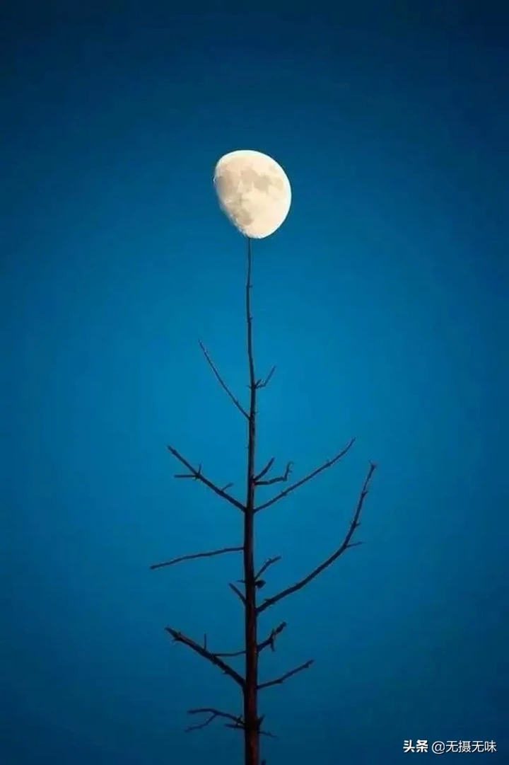 【明明白白聊摄影】怎么拍出干净的照片