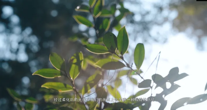 如何用黑柔焦镜拍出电影质感？进来抄作业