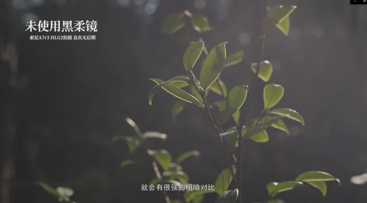 如何用黑柔焦镜拍出电影质感？进来抄作业