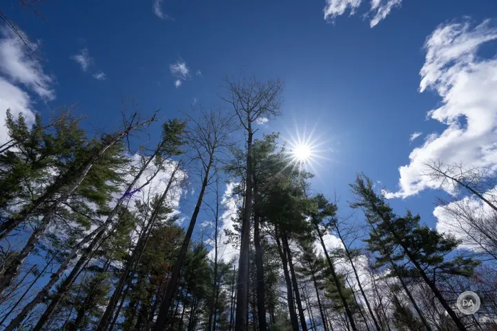 YouTube10万粉大神Dustin Abbott评测 Sony 14mm F1.8 GM后置滤镜