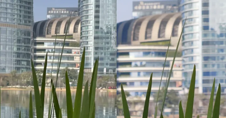 以苹果为标准,小米11拍照究竟如何——小米11拍照功能上手体验