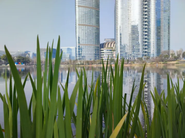 以苹果为标准,小米11拍照究竟如何——小米11拍照功能上手体验