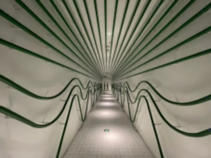 以苹果为标准,小米11拍照究竟如何——小米11拍照功能上手体验