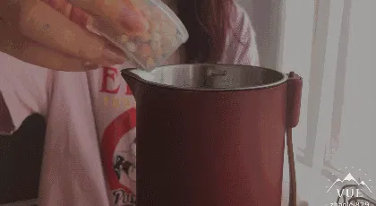 美国西屋复古迷你小型豆浆机