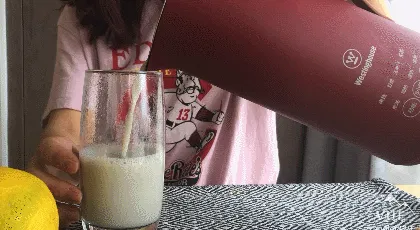美国西屋复古迷你小型豆浆机