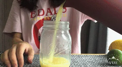 美国西屋复古迷你小型豆浆机