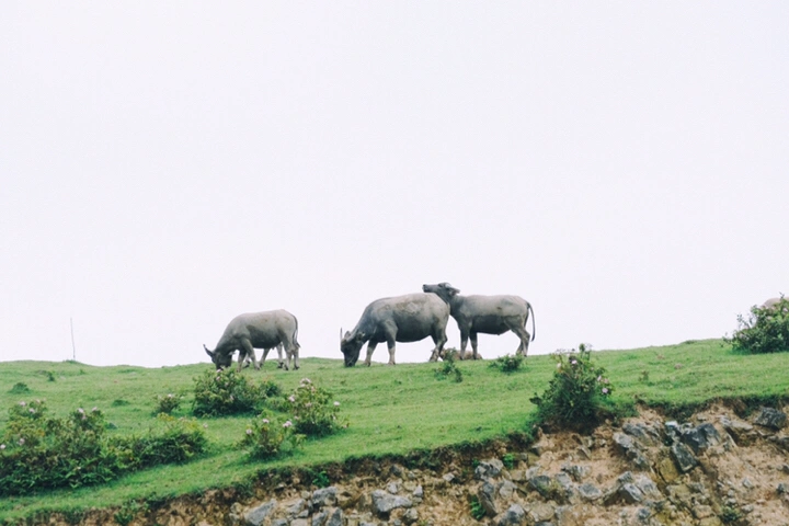 游记 | 好久不见一起去玩？好啊