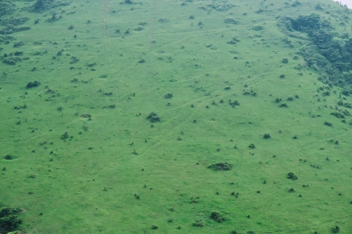 游记 | 好久不见一起去玩？好啊