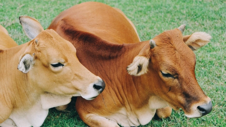 游记 | 好久不见一起去玩？好啊