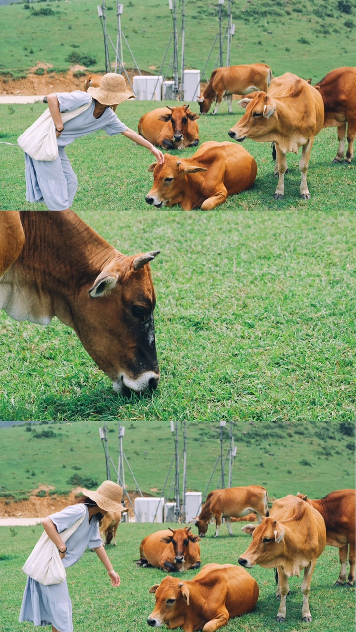 游记 | 好久不见一起去玩？好啊