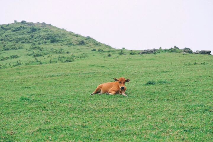 游记 | 好久不见一起去玩？好啊