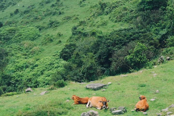 游记 | 好久不见一起去玩？好啊