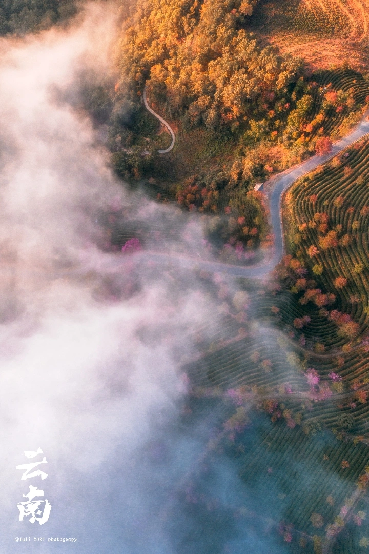 云南大理无量山樱花谷