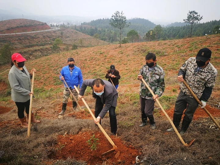 【欣赏】抗击疫情好照片品精选(三)