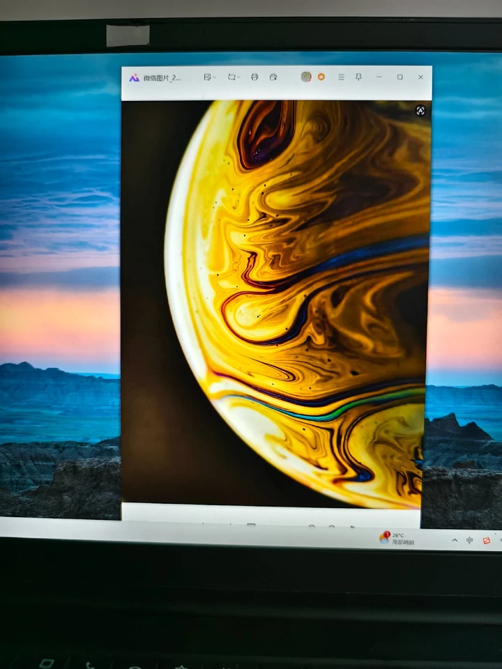 泡泡异星生存指南之我在地球装外星人