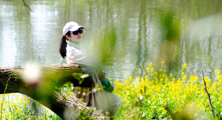 倾情一壶邀春天