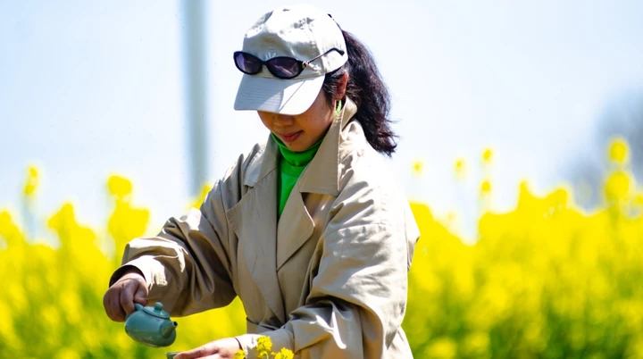 倾情一壶邀春天