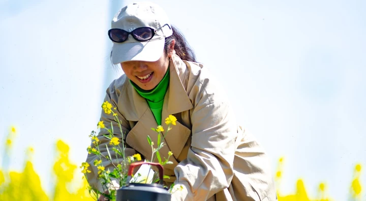 倾情一壶邀春天