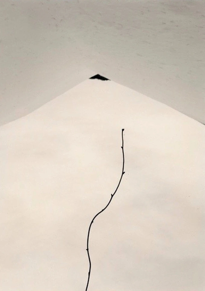 世界街拍大师作品欣赏