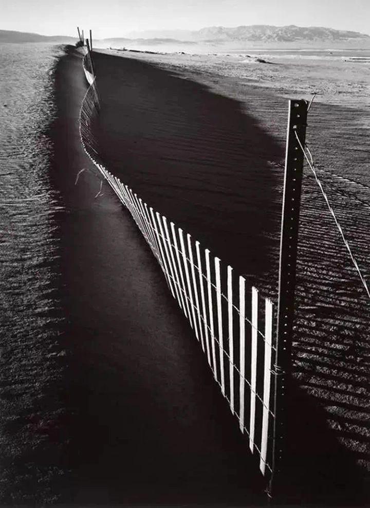 世界街拍大师作品欣赏