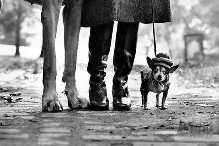 世界街拍大师作品欣赏