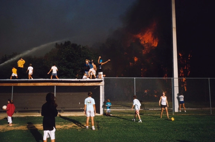 亚历克斯·韦伯作品赏析