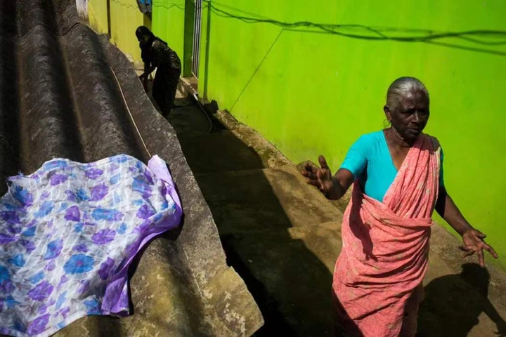 亚历克斯·韦伯作品赏析