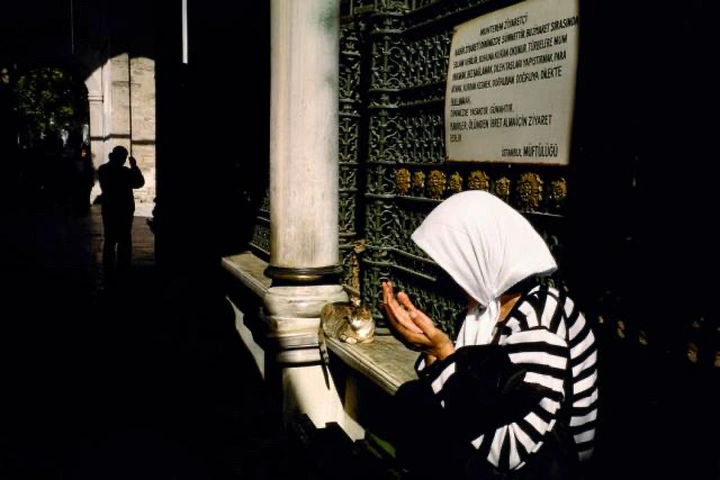 亚历克斯·韦伯作品赏析