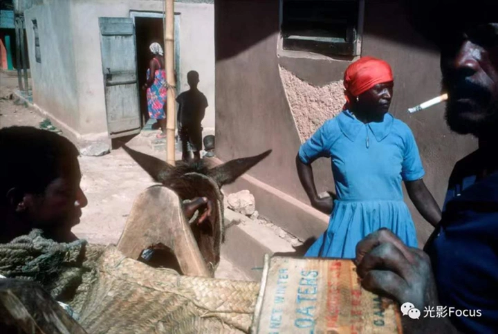 亚历克斯·韦伯作品赏析