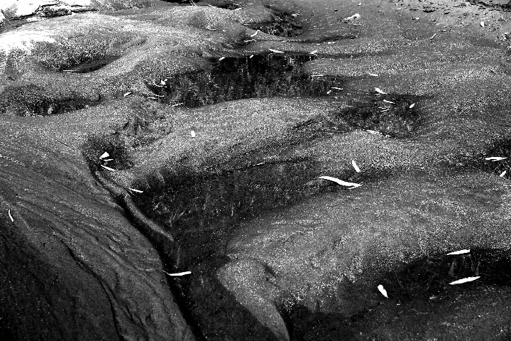 观察面目全非的地球