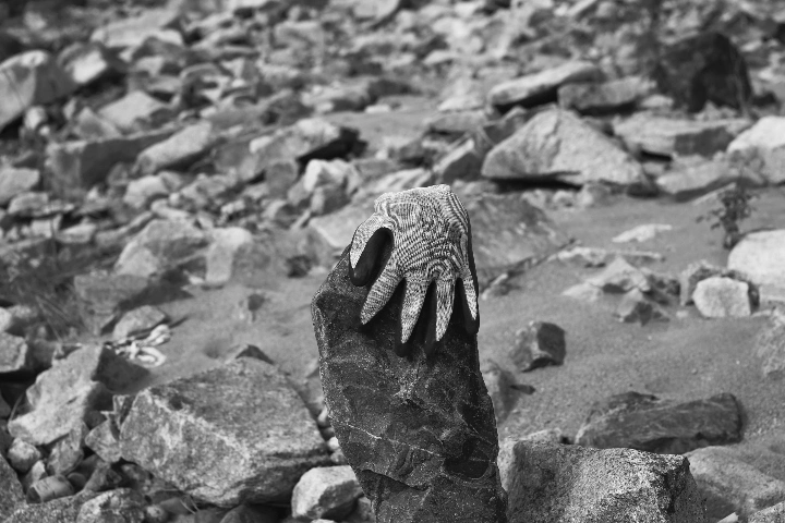 观察面目全非的地球