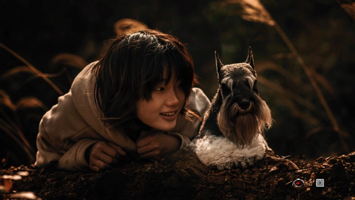 以它为本,记录光影【它/影】