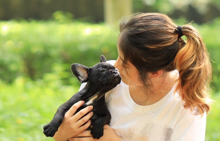 以它为本,记录光影【它/影】