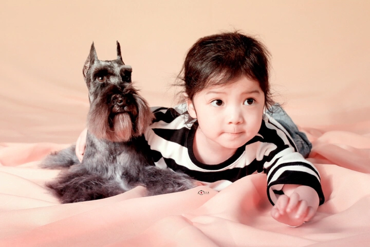 以它为本,记录光影【它/影】