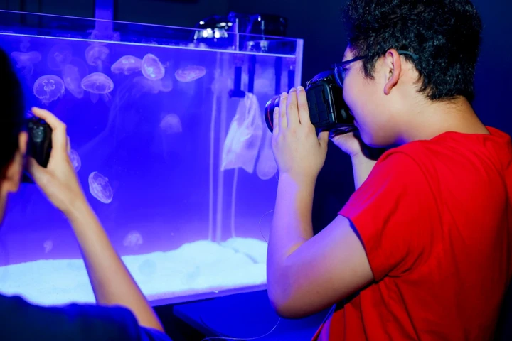 2025佳能影像嘉年华之EOS影像艺术公园上海揭幕, 赋能影像艺术焕发新生